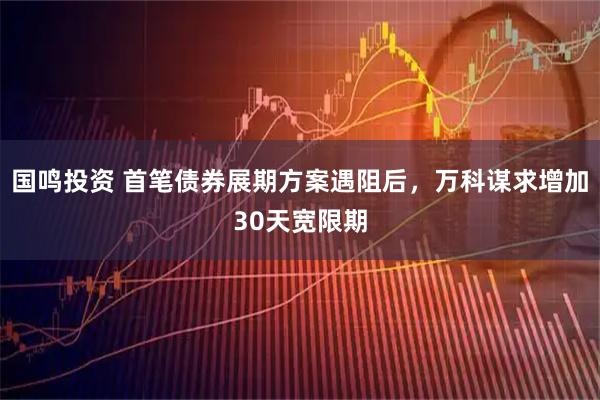 国鸣投资 首笔债券展期方案遇阻后，万科谋求增加30天宽限期