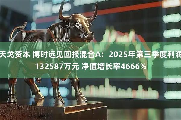 天戈资本 博时远见回报混合A：2025年第三季度利润132587万元 净值增长率4666%